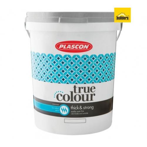 Plascon True Colour Thick and Strong Pastel Base (20L)
