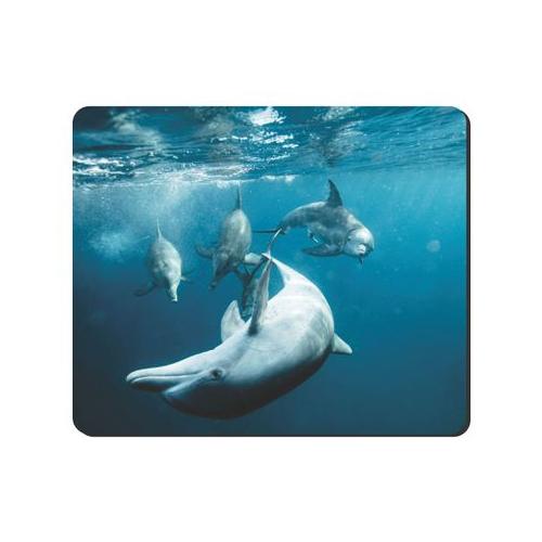 Mouse Pad - Dolphins
