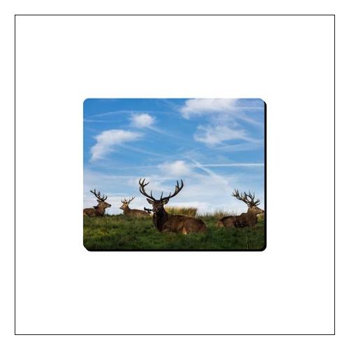 Mouse Pad - Reindeere