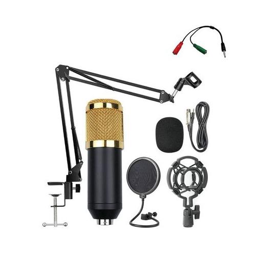 Professional  Condenser Microphone  Studio Kit With Sound Card