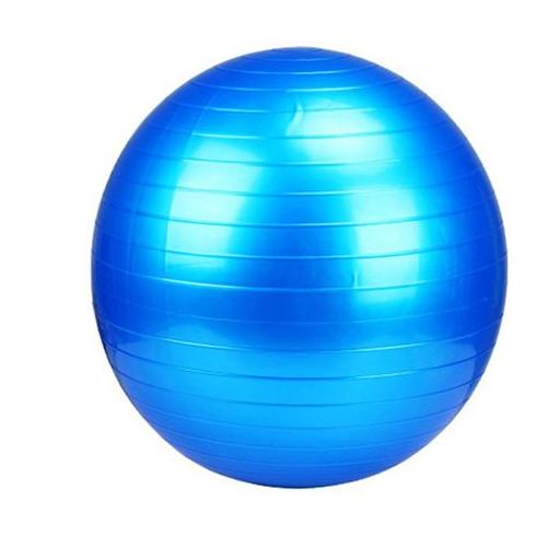 Yoga Pilates Gym Exercise Balance Ball with Pump – Blue 65cm