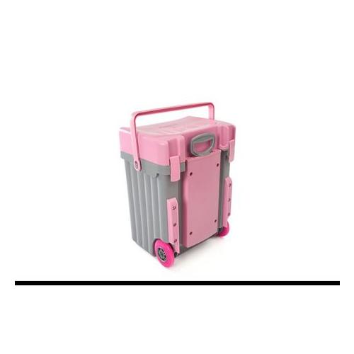Cadii School Bag with Pink Lid & Grey Body