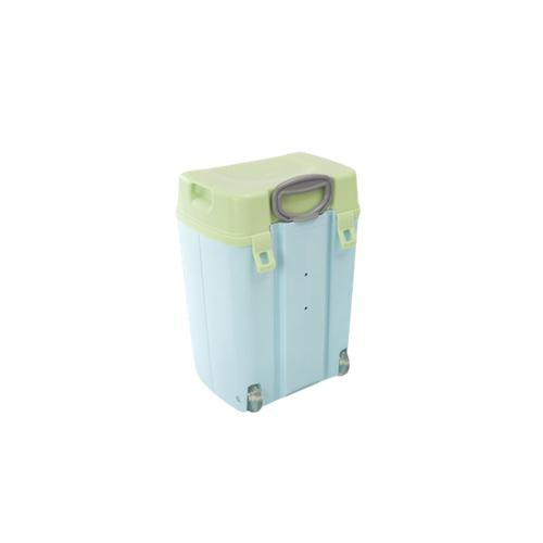 Todii School Bag -Green Lid with Blue Body