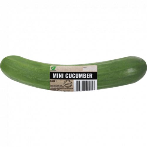 Mini Cucumber Single
