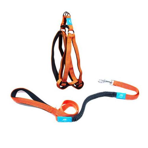 Animal Planet Step-In Harness And Anti-Shock Lead Bundle - Orange