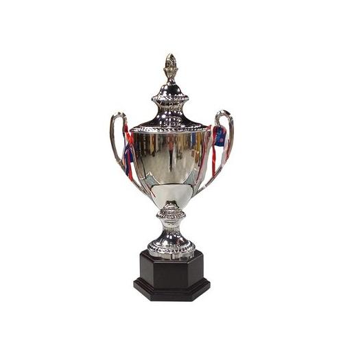 Fury 57cm Silver Cup Trophy no25