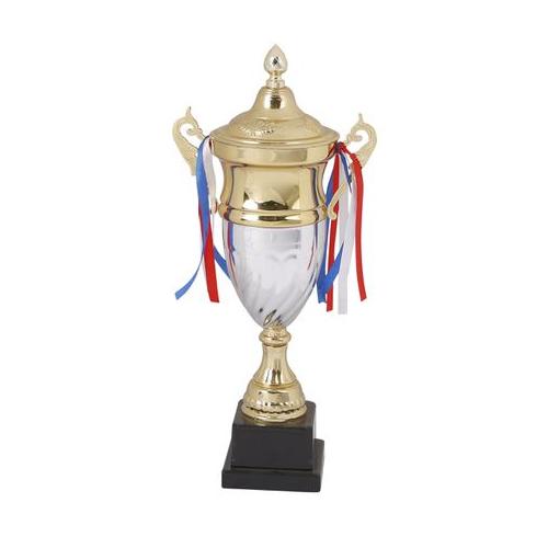 Mitzuma Austin Gold & Silver Cup Trophy