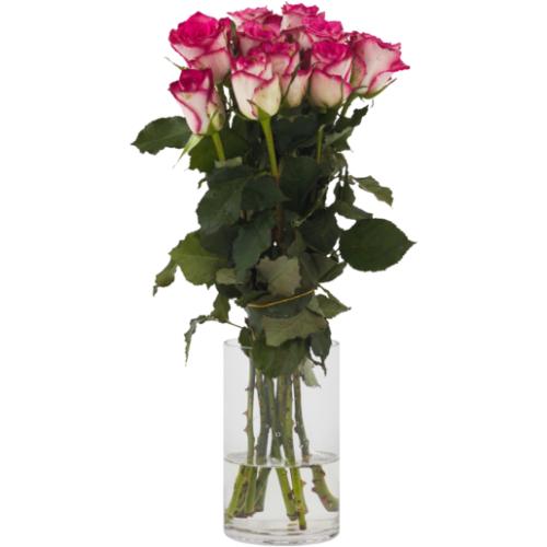 Two-Tone Pastel Rose Bouquet (Vase Not Included) (Assorted Item - Supplied At Random)