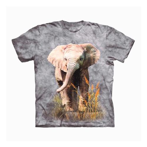 Kool Africa - Baby Elephant - Cotton Short Sleeve T-Shirt