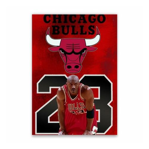 Chicago Bulls 23 Poster - A1