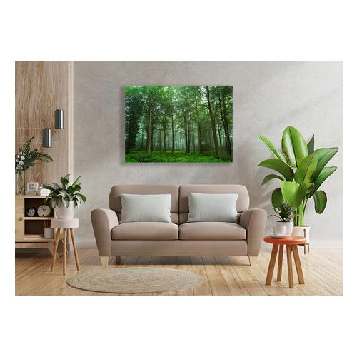 Canvas Wall Art - Forest View