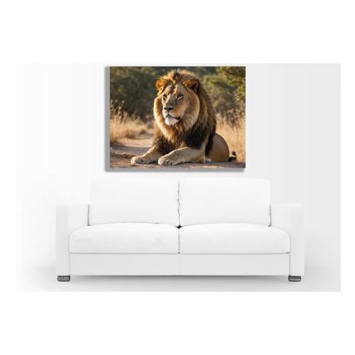 0072 Relaxed Lion Canvas Wall Art