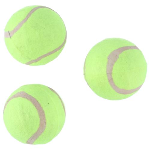 Lion Yellow Tennis Balls 3 Pack