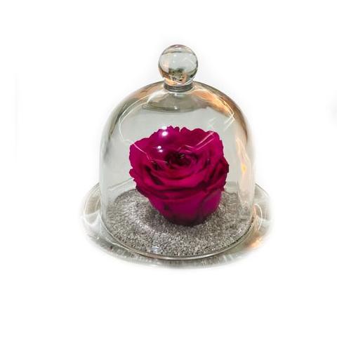 Preserved Rose in a Glass