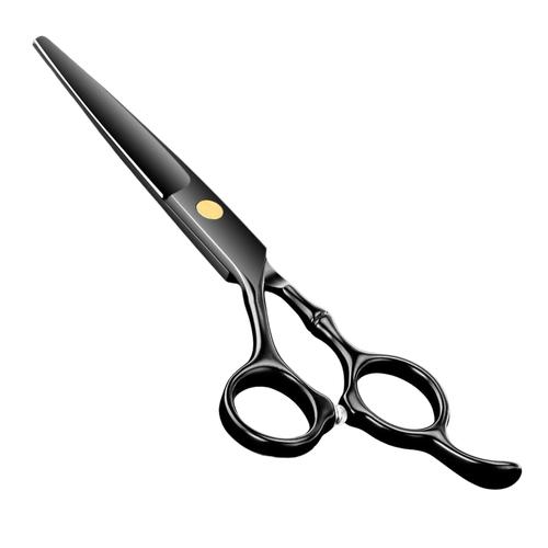 Professional Barber Scissors 5.5 inches Stainless Steel - Black