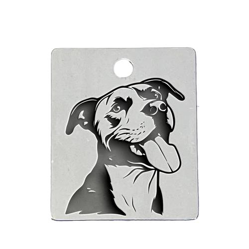 QR Pet Recovery Tag - Pit Bull