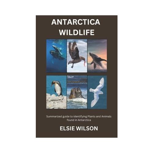 Antarctica Wildlife: Guide to Identifying Wildlife found in Antarctica