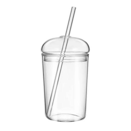 Glass Cup with Lid & Straw - 450ml