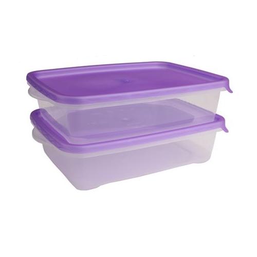 Gizmo - Take-Along Container - 1.5 Litre Set Of 2